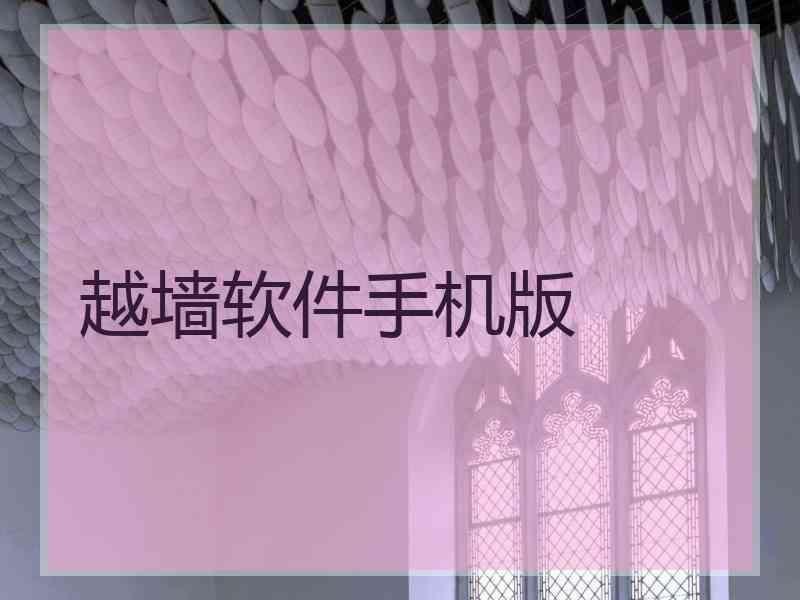 越墙软件手机版