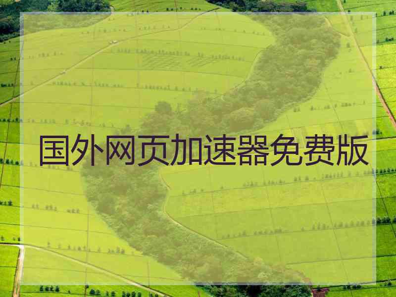 国外网页加速器免费版