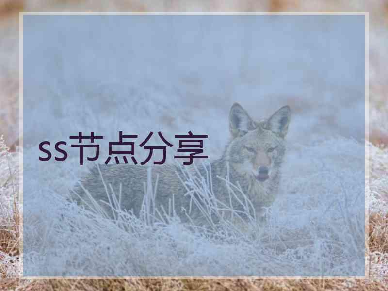 ss节点分享