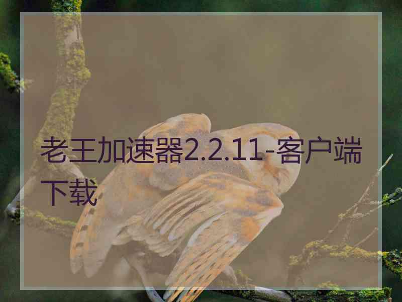 老王加速器2.2.11-客户端下载