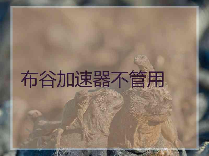 布谷加速器不管用