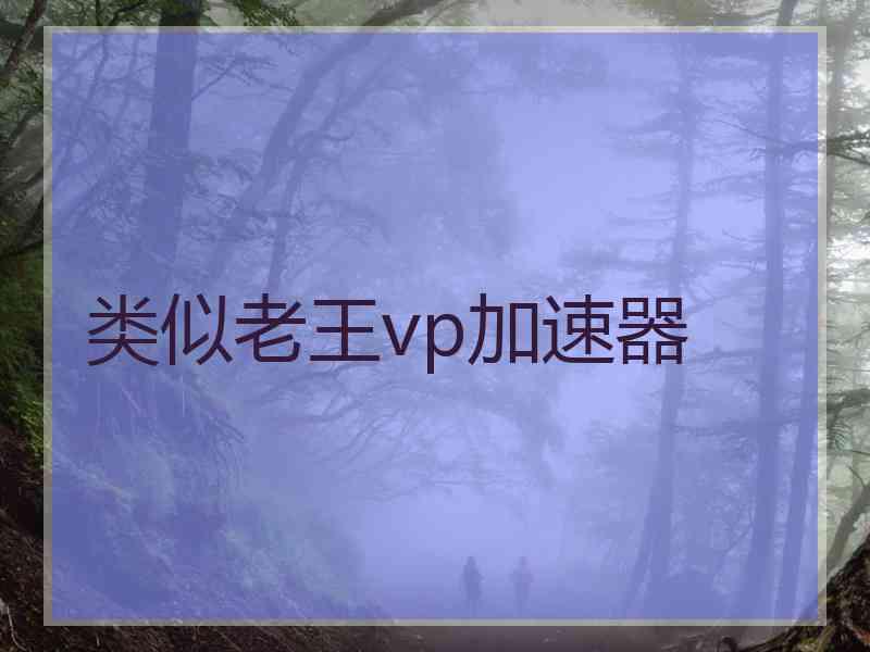 类似老王vp加速器