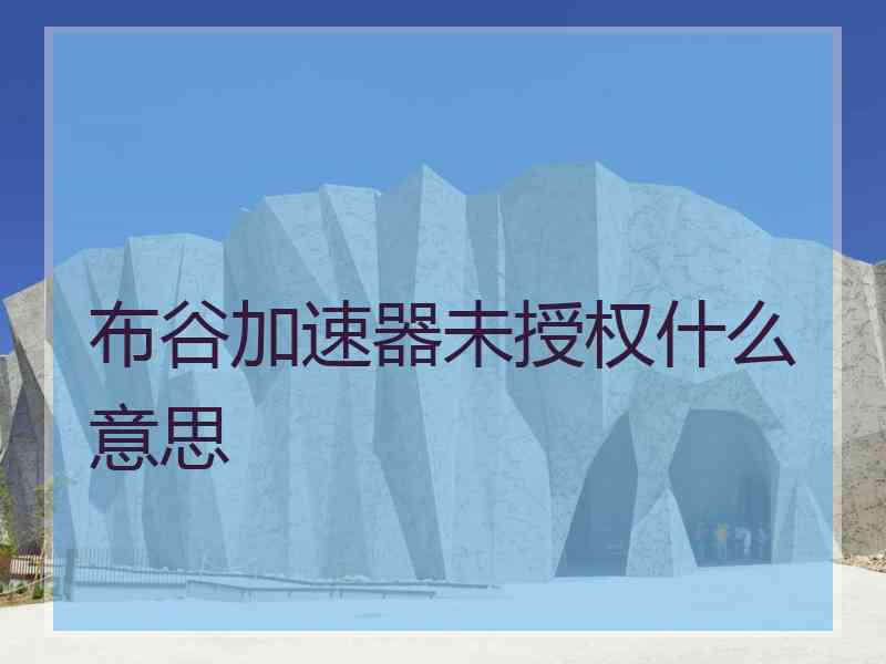 布谷加速器未授权什么意思