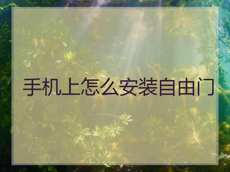 手机上怎么安装自由门