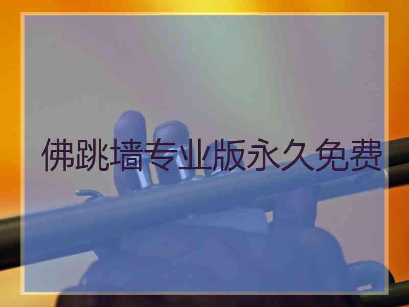 佛跳墙专业版永久免费