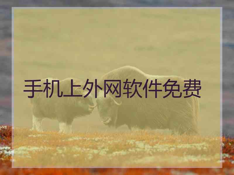 手机上外网软件免费