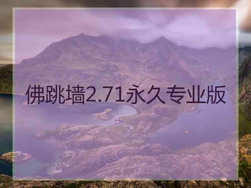 佛跳墙2.71永久专业版