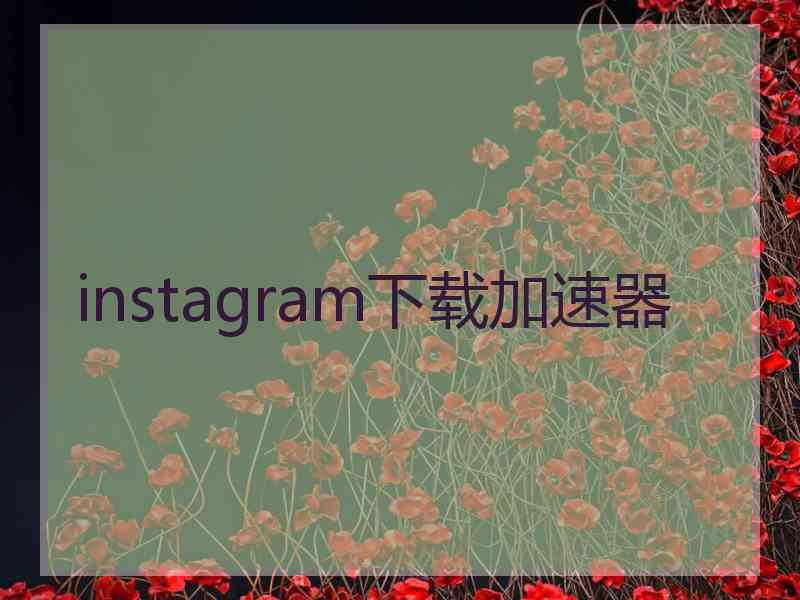 instagram下载加速器
