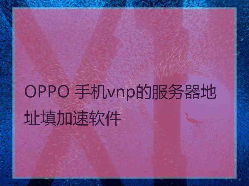 OPPO 手机vnp的服务器地址填加速软件