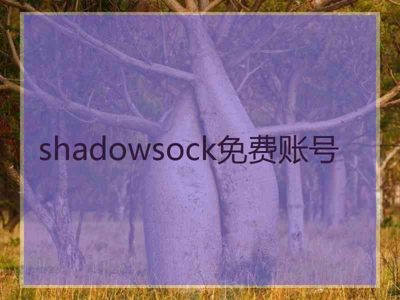 shadowsock免费账号