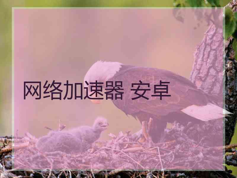 网络加速器 安卓