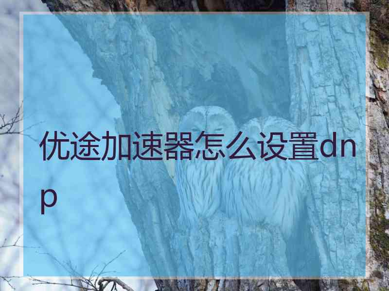 优途加速器怎么设置dnp