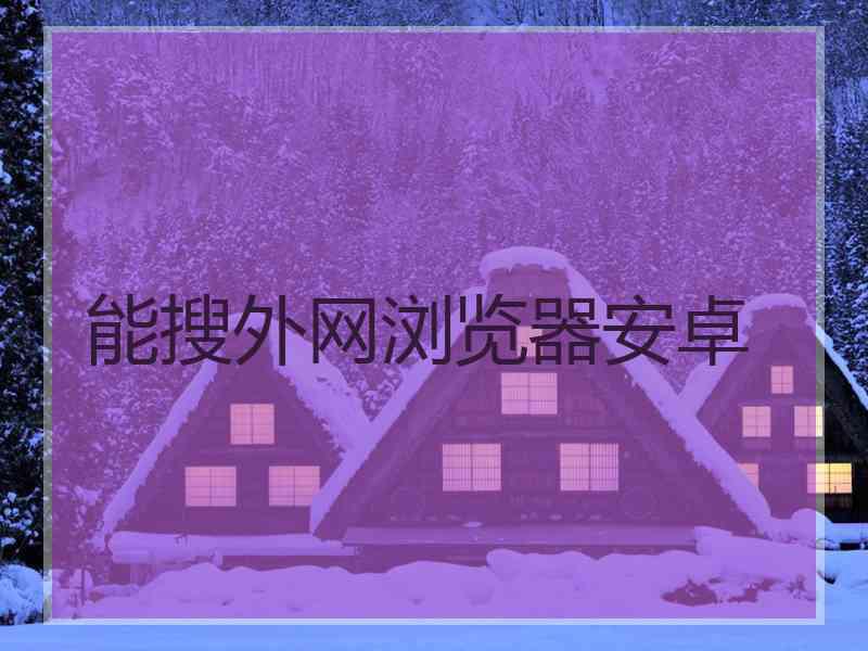 能搜外网浏览器安卓