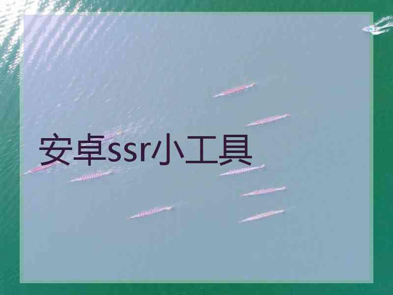 安卓ssr小工具