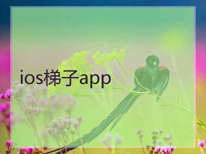 ios梯子app