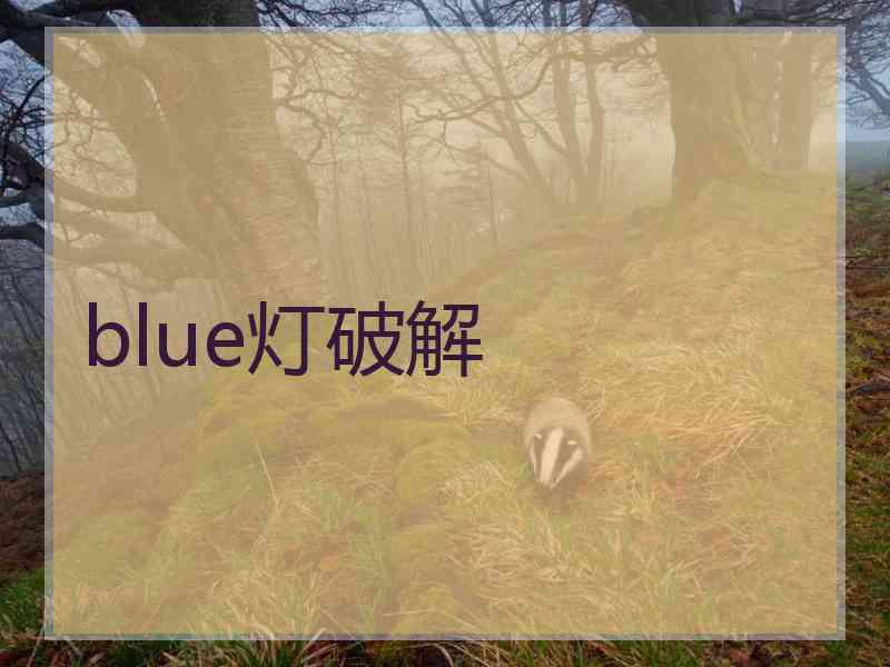 blue灯破解