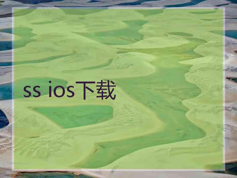 ss ios下载