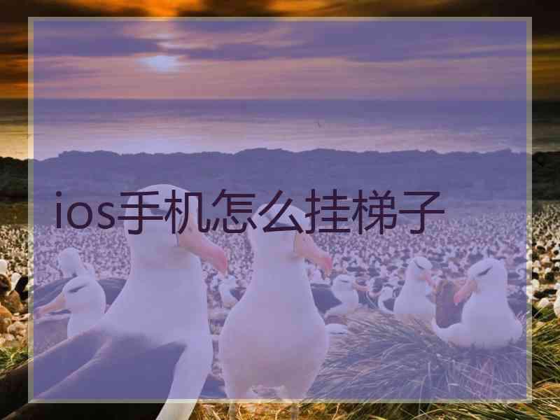 ios手机怎么挂梯子