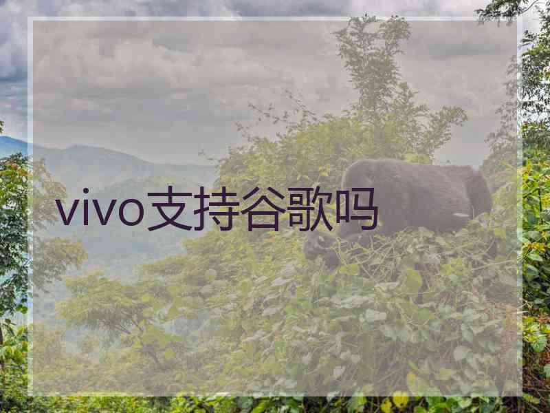 vivo支持谷歌吗