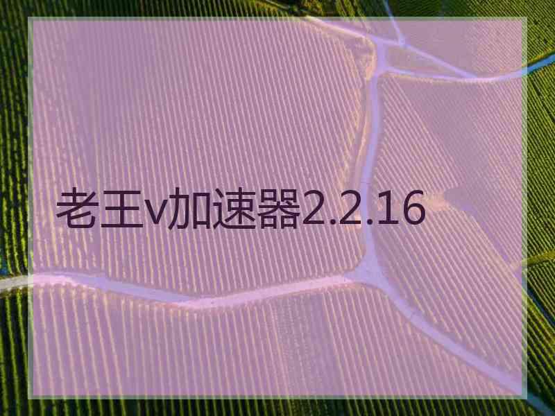 老王v加速器2.2.16