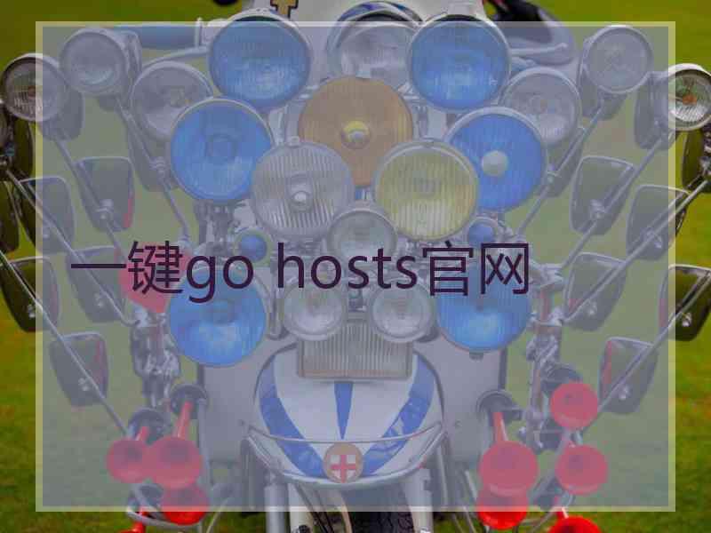 一键go hosts官网
