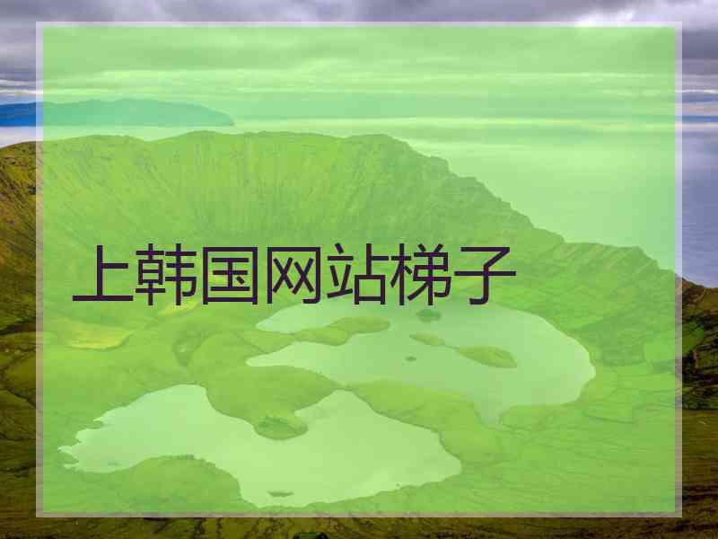 上韩国网站梯子