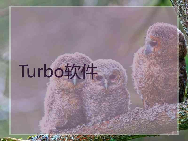 Turbo软件