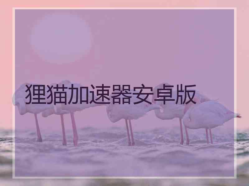 狸猫加速器安卓版