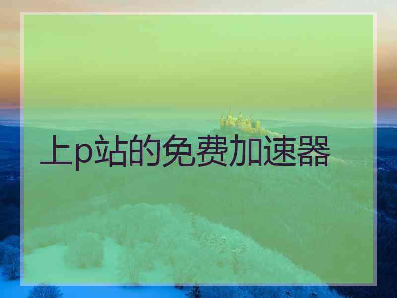 上p站的免费加速器