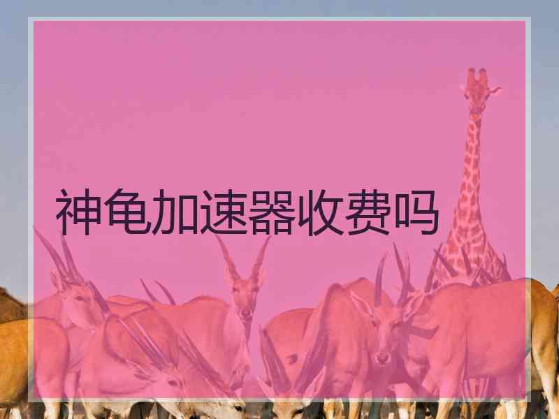 神龟加速器收费吗