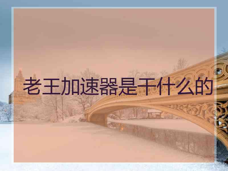 老王加速器是干什么的