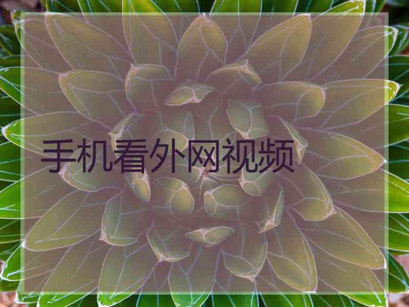 手机看外网视频