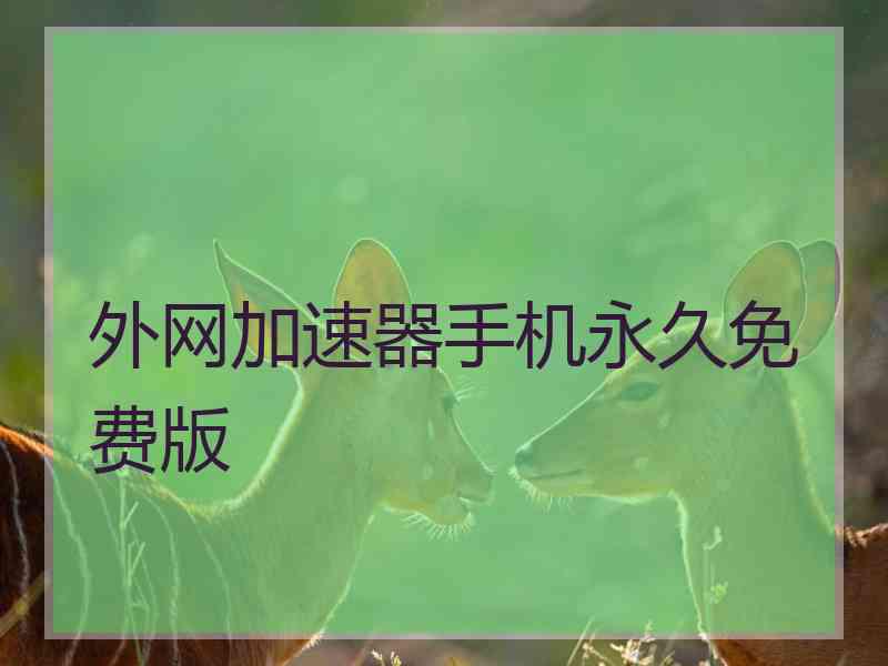 外网加速器手机永久免费版