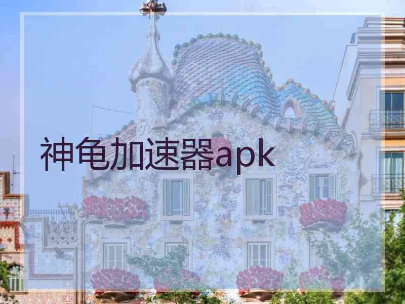 神龟加速器apk