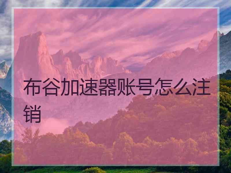 布谷加速器账号怎么注销